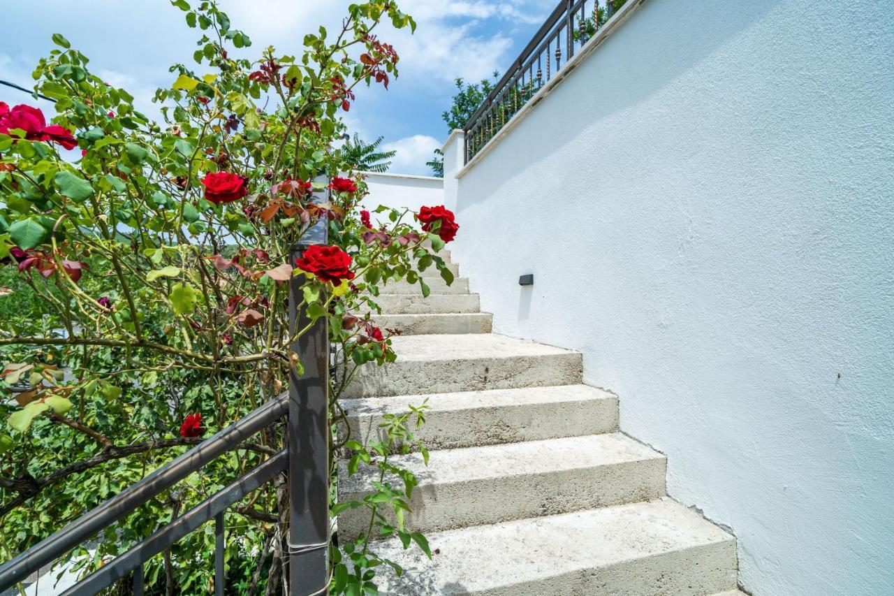 Hidden Gem Apartment Molunat Exterior photo